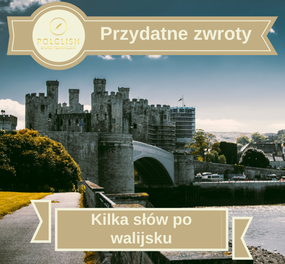 Przydatne zwroty: podstawowe słówka i zwroty po walijsku